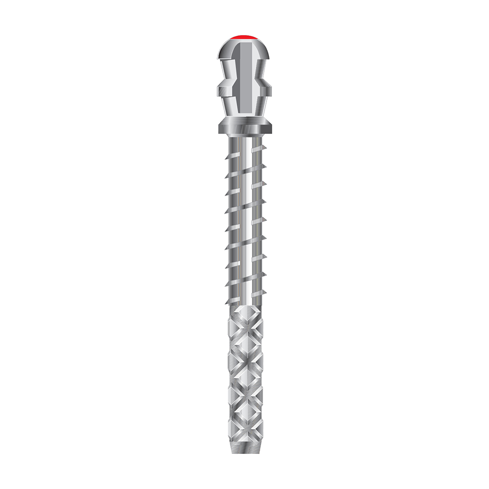 Para Post XT Titan 0,90 mm braun, 10 Stück