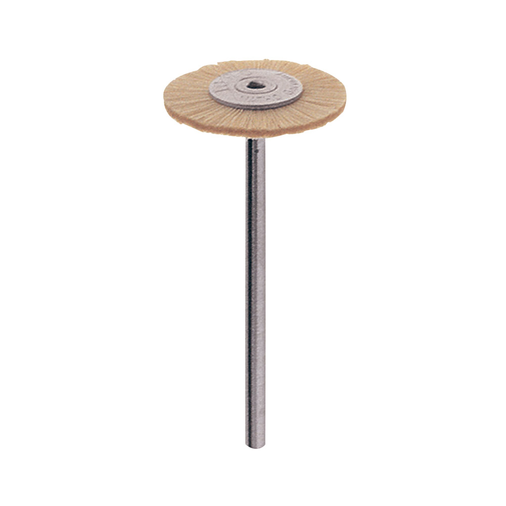 ZR Bürste Hst Rad Ziege 19 mm, 12 Stück