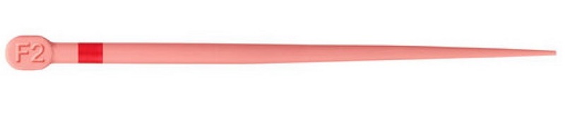 ProTaper Gold Conform Fit GP Points F2, 60 Stück
