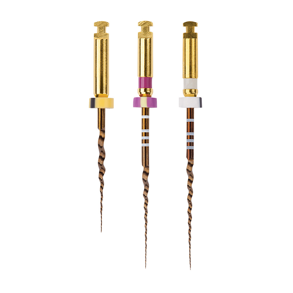 Protaper Gold S1 25 mm, 6 Stück