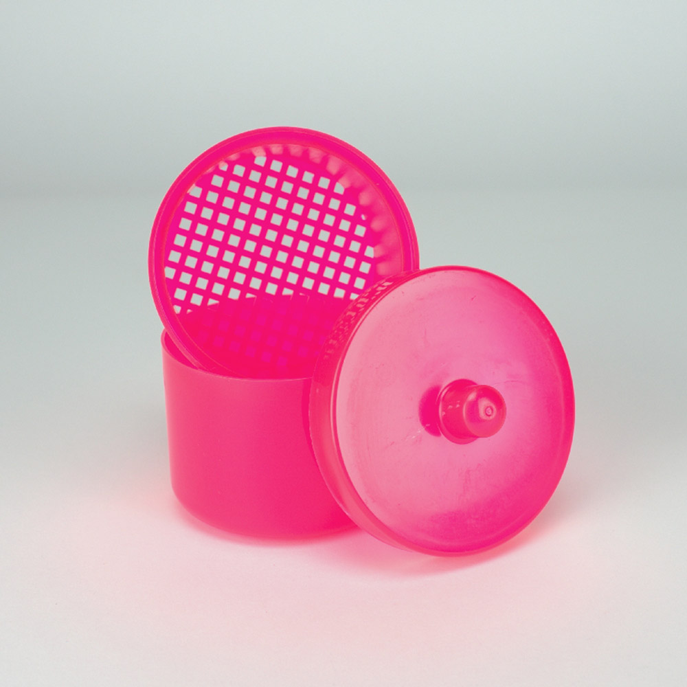 Prothesenreinigungs Box fuchsia, Stück
