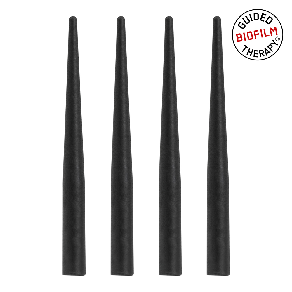 Piezon PI Max Spitzen, 4 Stück